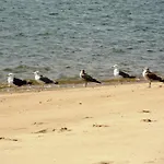Alagoa Azul ゲストハウス アルチュラ
