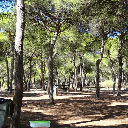 Πανσιόν Alagoa Azul