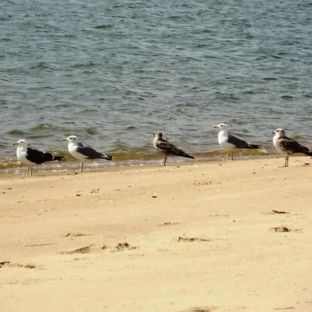 Alagoa Azul Maison d'hôtes Altura